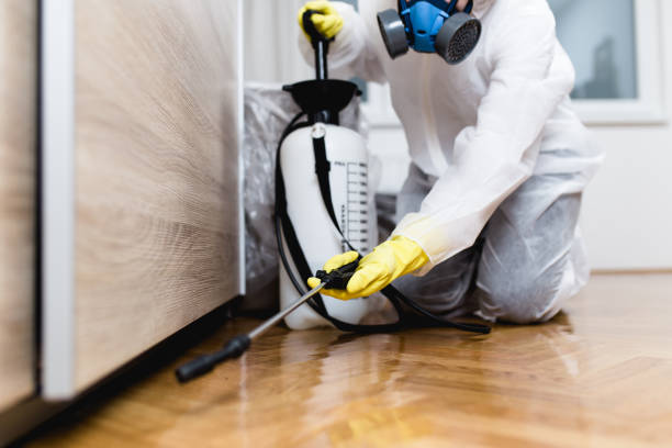 Best Insect Control  in Clay, CA
