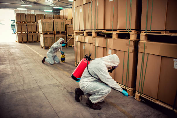 Best Flea Control Services  in Clay, CA