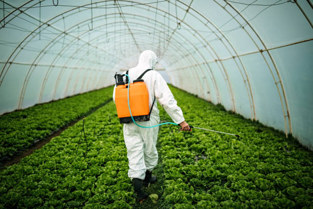 Best Residential Pest Control  in Clay, CA