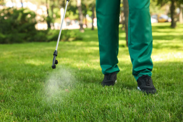 Best Pest Control Near Me  in Clay, CA