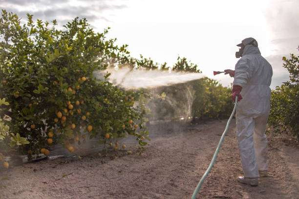 Best Pest Inspection Near Me  in Clay, CA