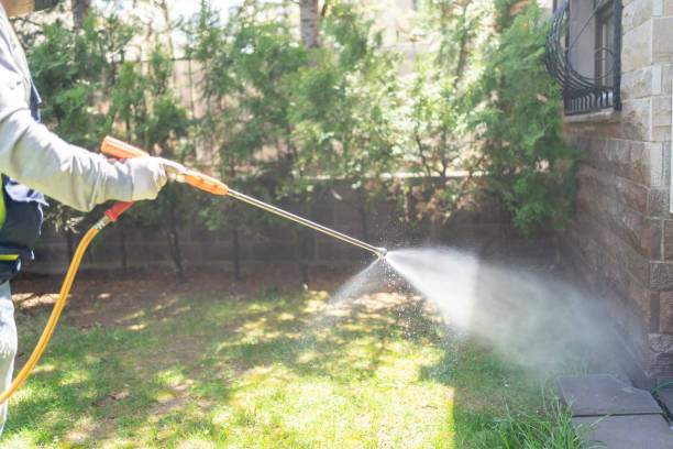 Best Best Pest Control Companies  in Clay, CA