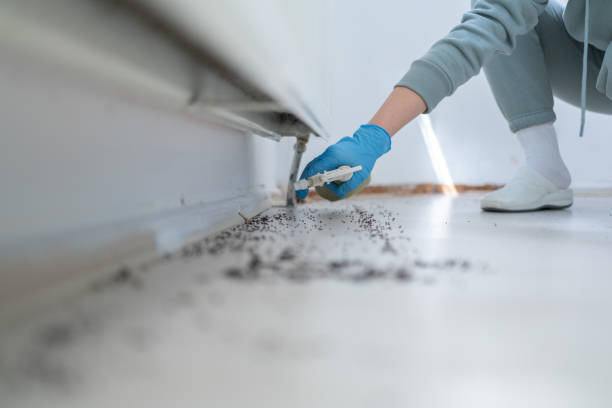 Best Mosquito Control Services  in Clay, CA
